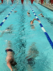 webassets/circleswim.JPG